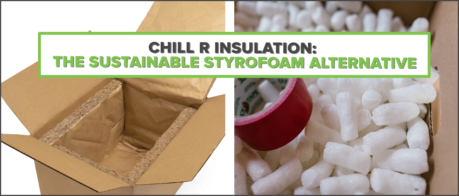 Packing Peanuts and Styrofoam Alternative